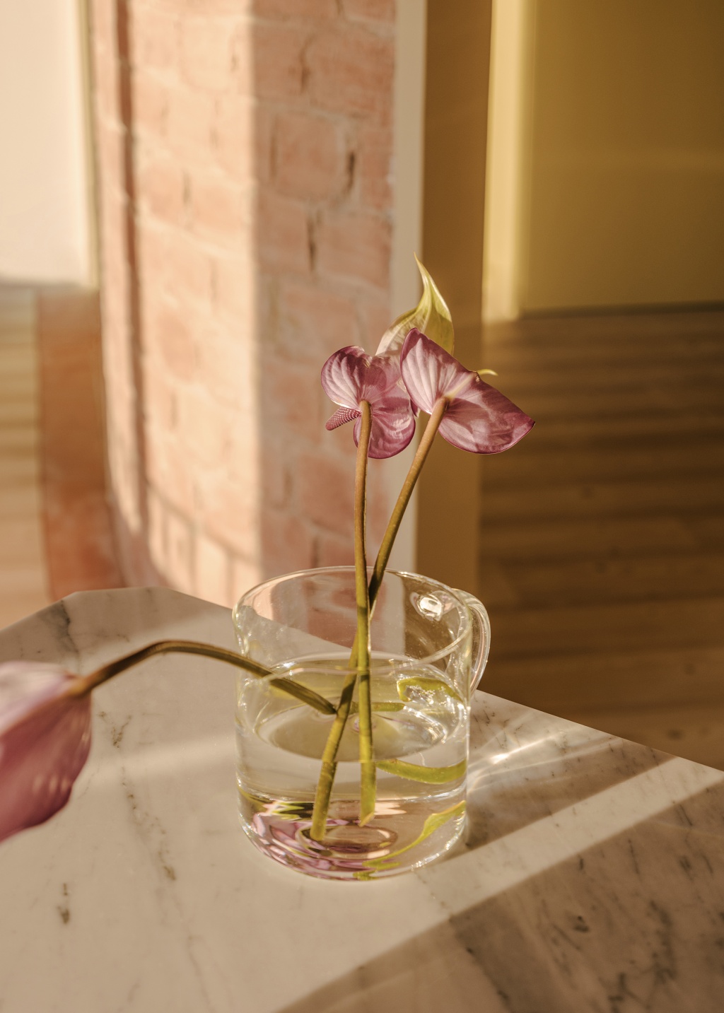 FULL RENOVATION OF A FLAT IN CIUTADELLA 1