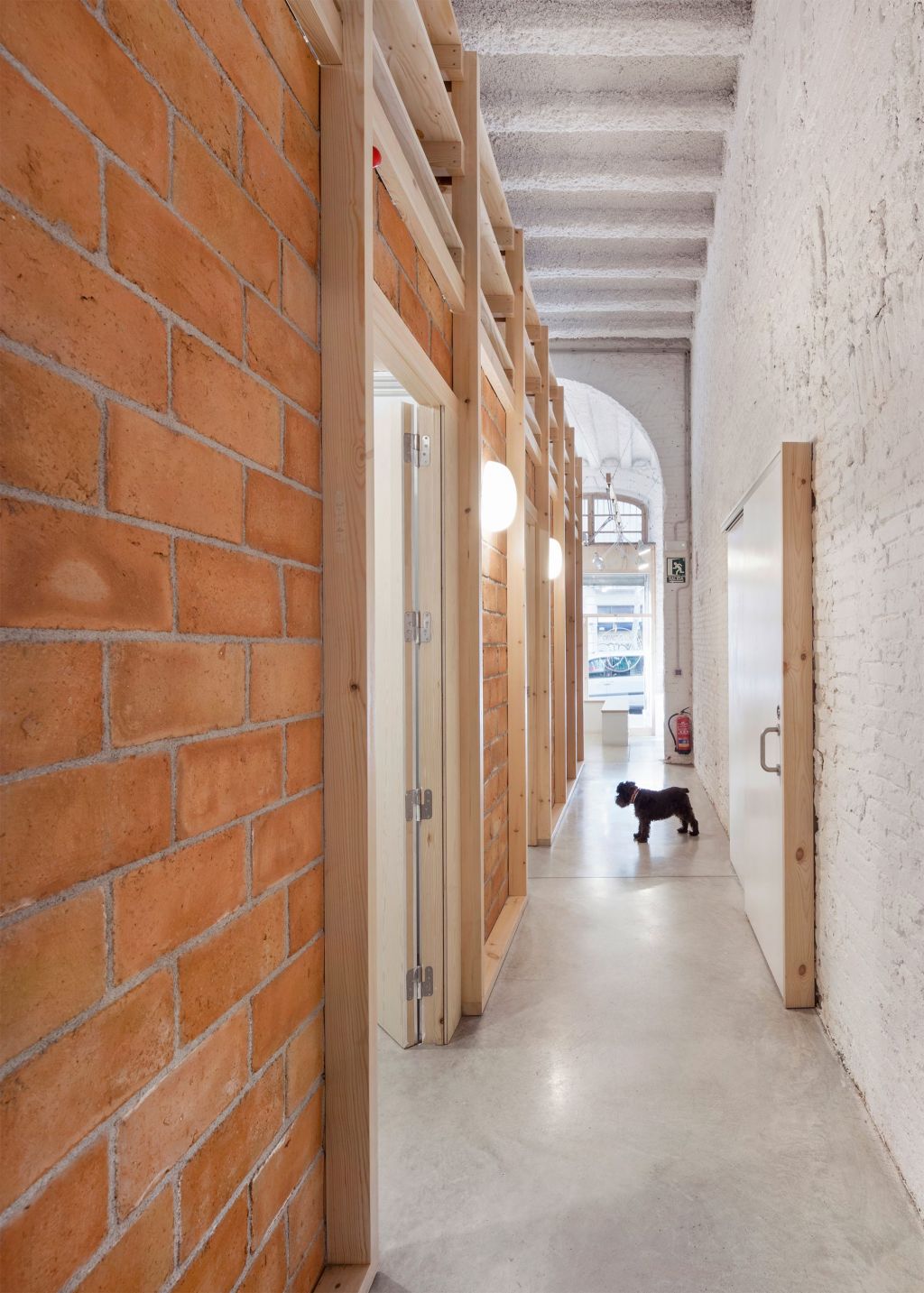 DESIGN AND CONSTRUCTION OF A VETERINARY CLINIC IN SANT ANTONI 3