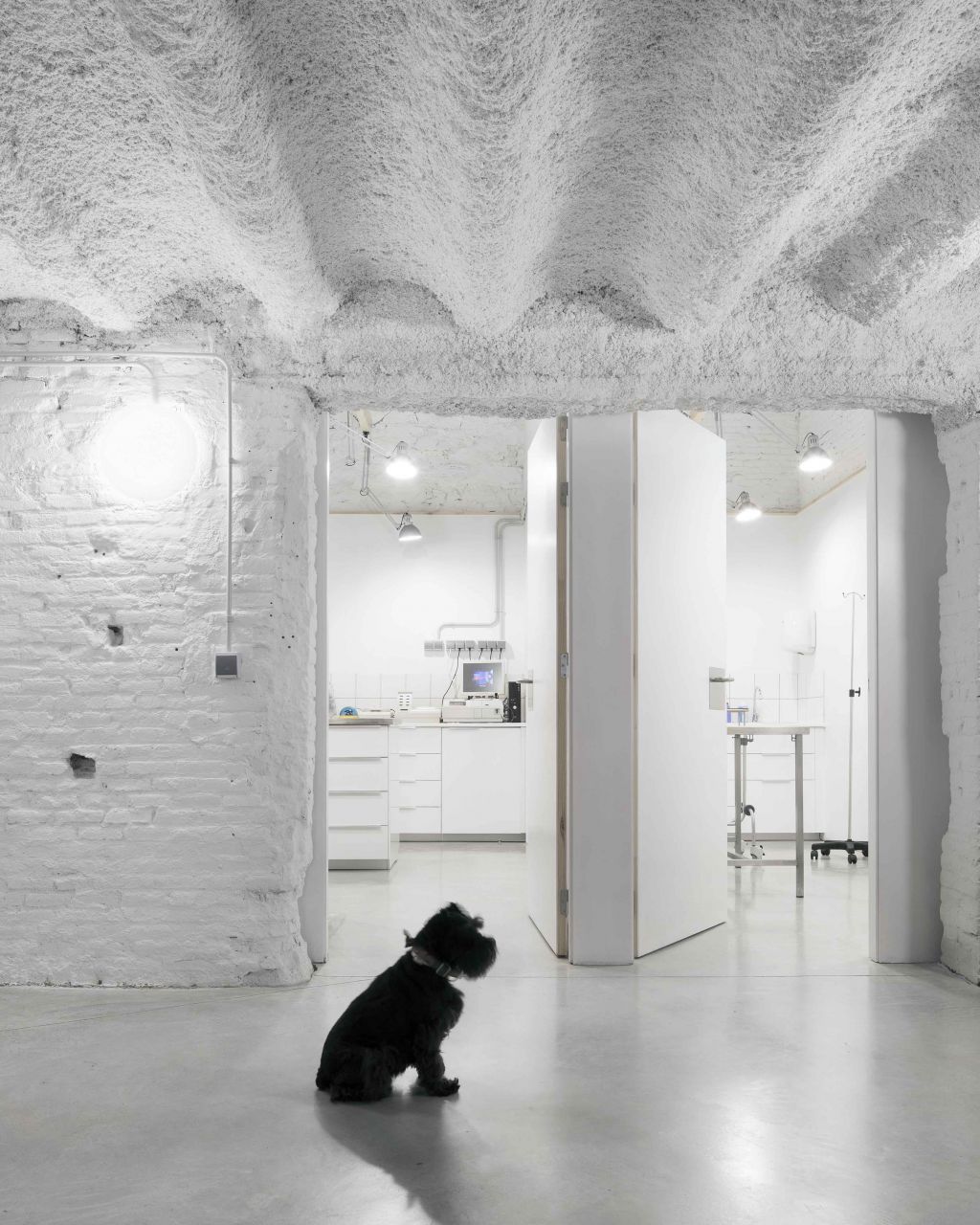 DESIGN AND CONSTRUCTION OF A VETERINARY CLINIC IN SANT ANTONI 1